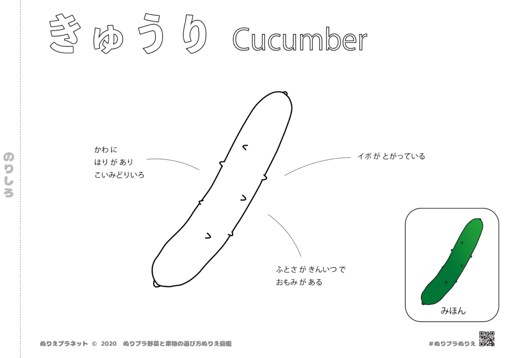 野菜と果物の選び方ぬりえ図鑑シリーズのやさい、きゅうりです。