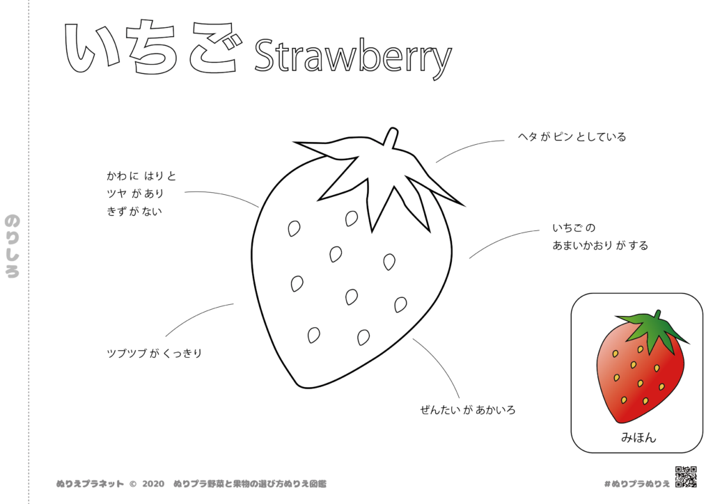 野菜と果物の選び方図鑑シリーズのくだものの苺です。