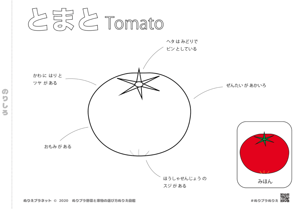 野菜と果物の選び方ぬりえ図鑑シリーズのやさい、トマトです。