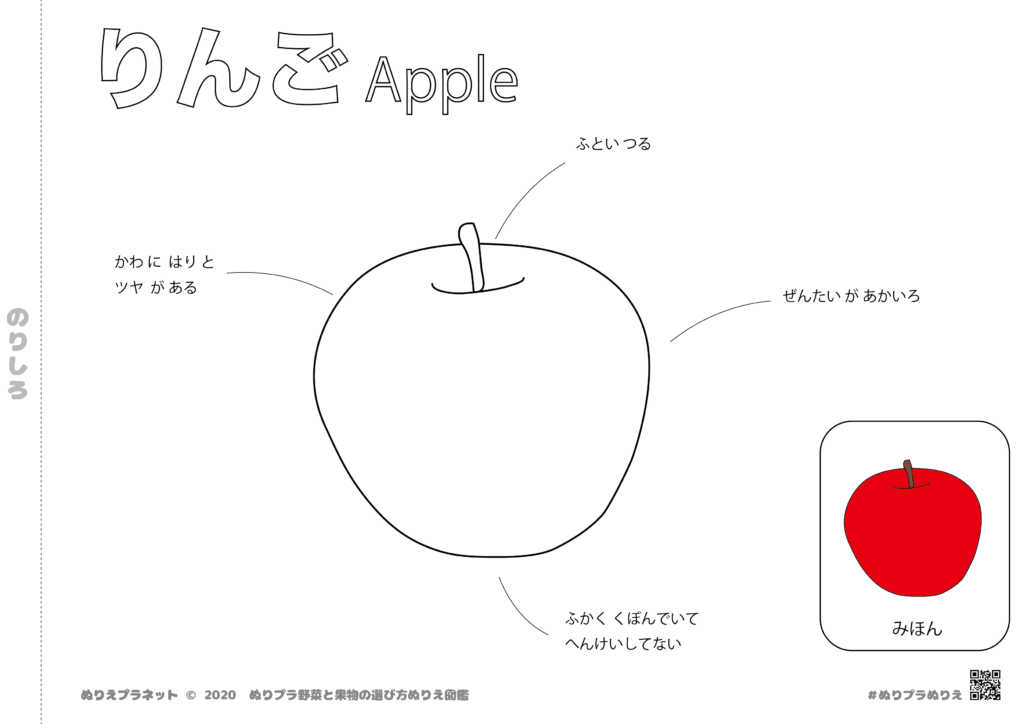 りんごの塗り絵です。美味しいりんごの見分けかたもわかります。