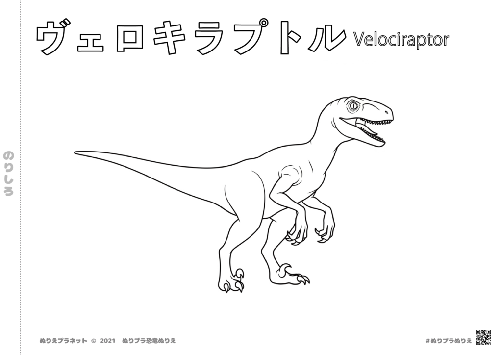 小さな子供でも塗りやすい、無料でダウンロードできる、A4印刷対応のリアルなヴェロキラプトルの塗り絵