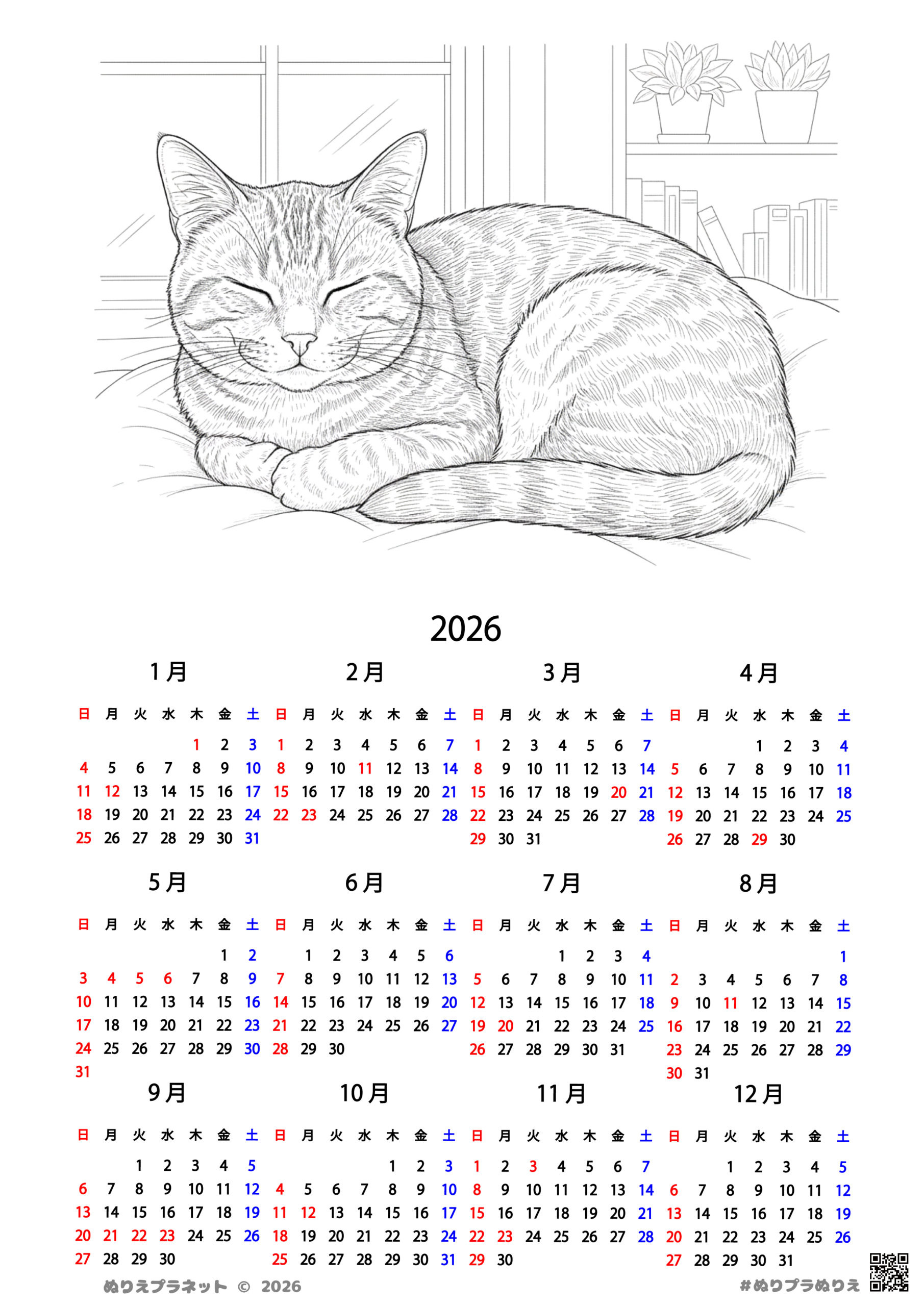 2026年のカレンダー付き、リアルな猫の高齢者向け塗り絵