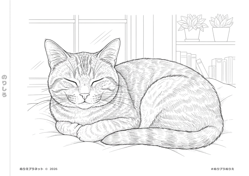 窓際で丸くなって眠るリアルな猫の高齢者向け塗り絵