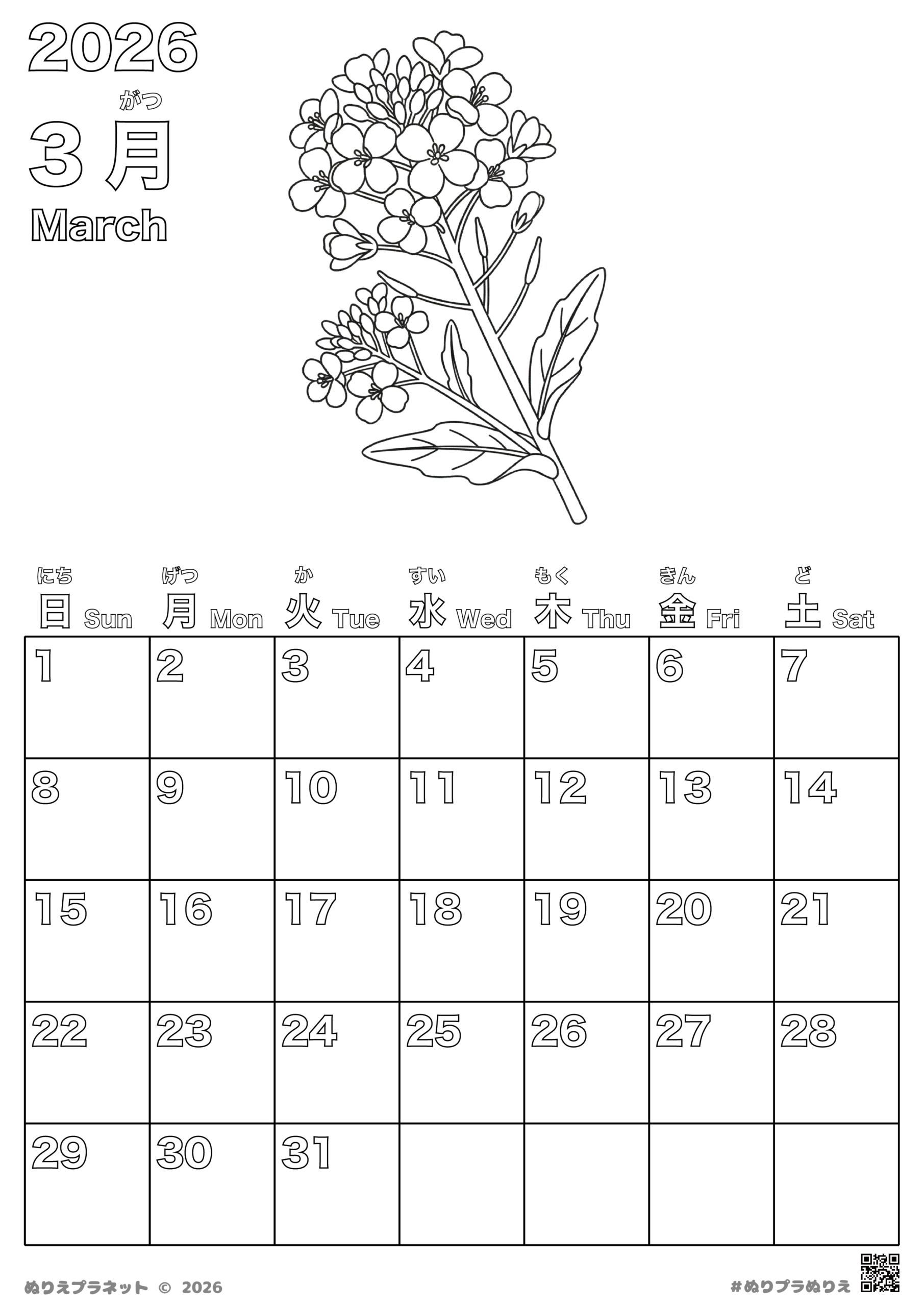 2026年3月のカレンダー塗り絵（春を象徴する菜の花のデザイン）
