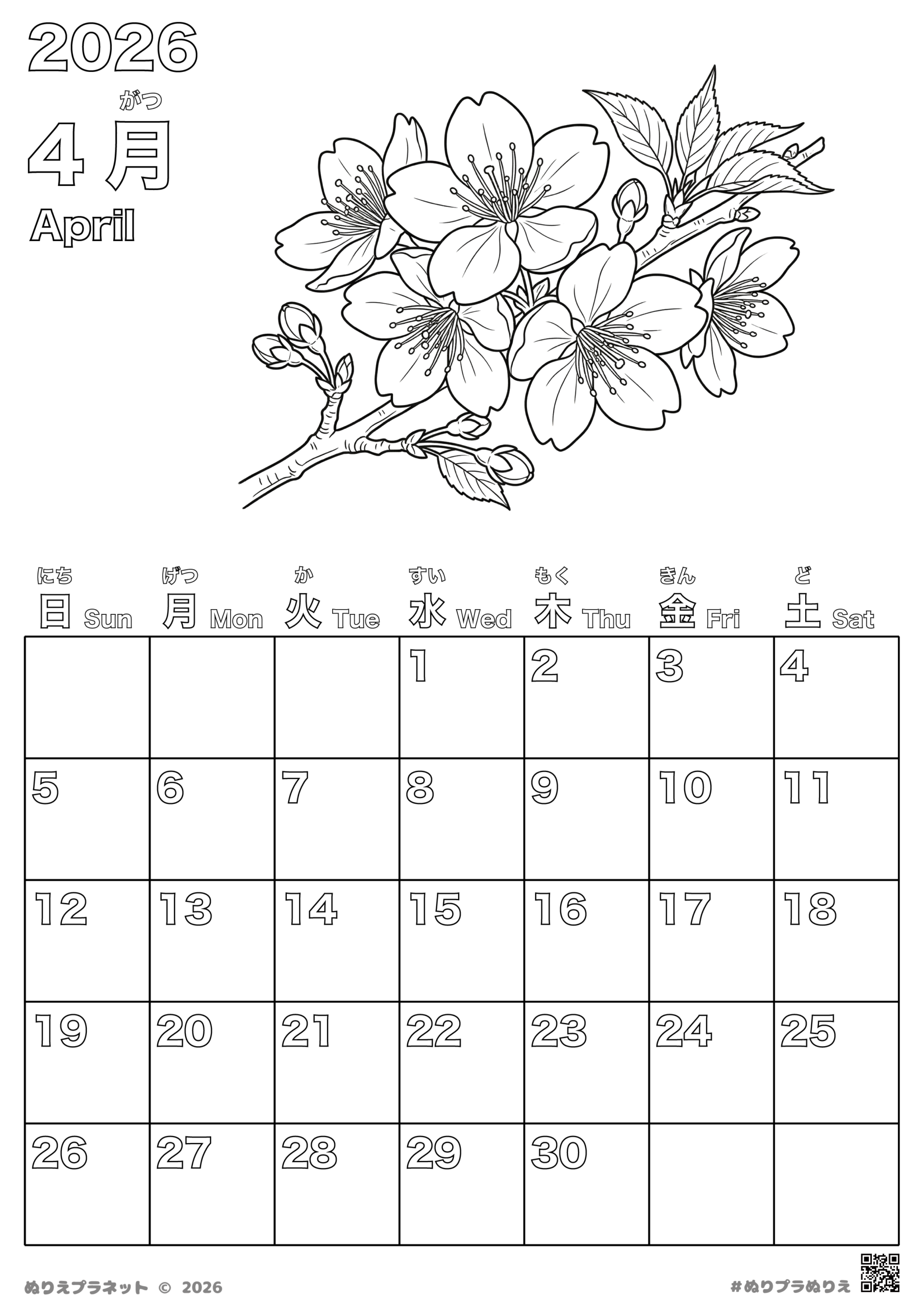 2026年4月のカレンダー塗り絵。満開の桜の花と枝が描かれた、子供から高齢者まで楽しめる無料のぬりえ。