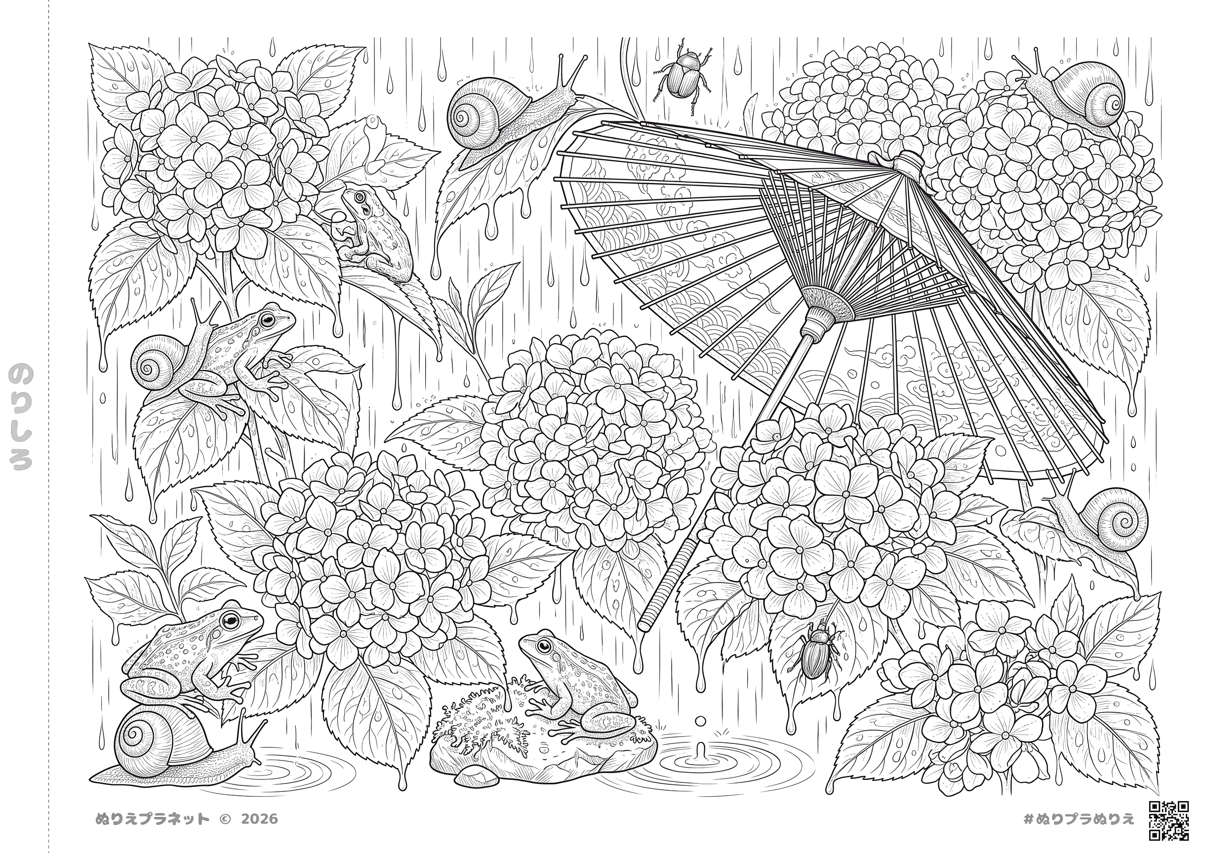 紫陽花とカエル、カタツムリ、そして和傘が描かれた、緻密で美しい上級者向けの梅雨の塗り絵