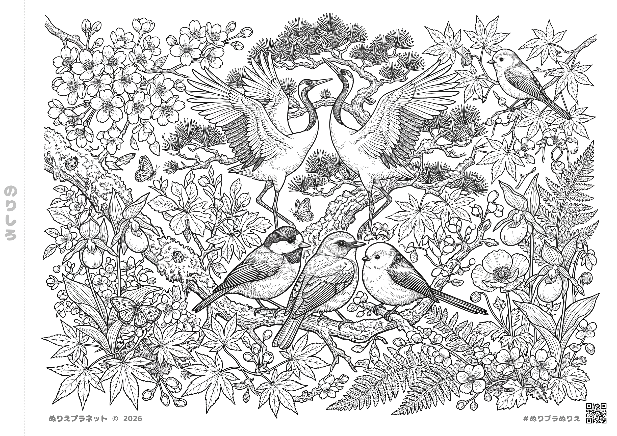 愛鳥週間をイメージした上級者向けの難しい塗り絵。写実的な野鳥と四季の植物が細密に描かれたアーティスティックなデザイン。