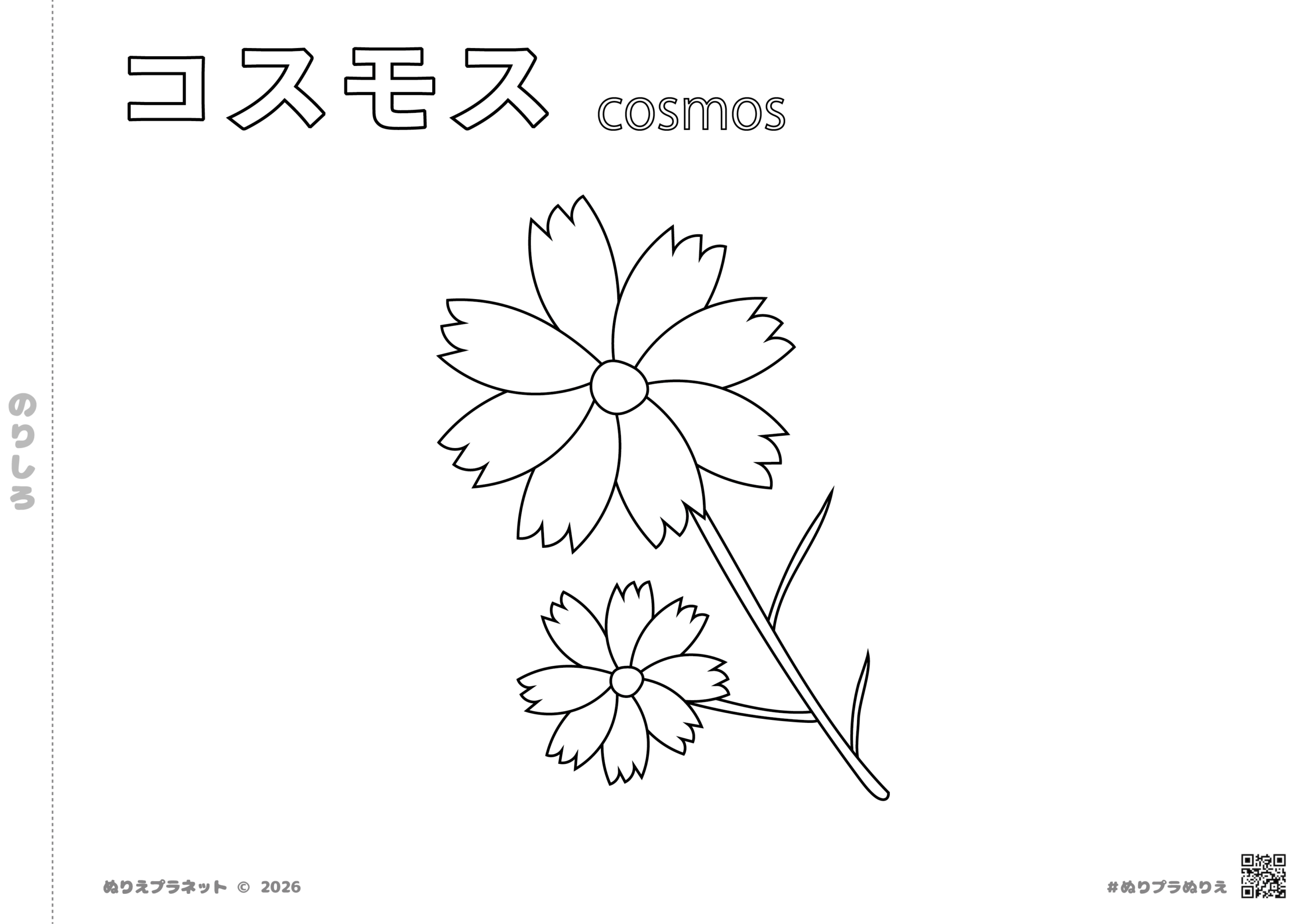 秋の花コスモスの無料塗り絵プリント。カタカナと英語の文字付き。