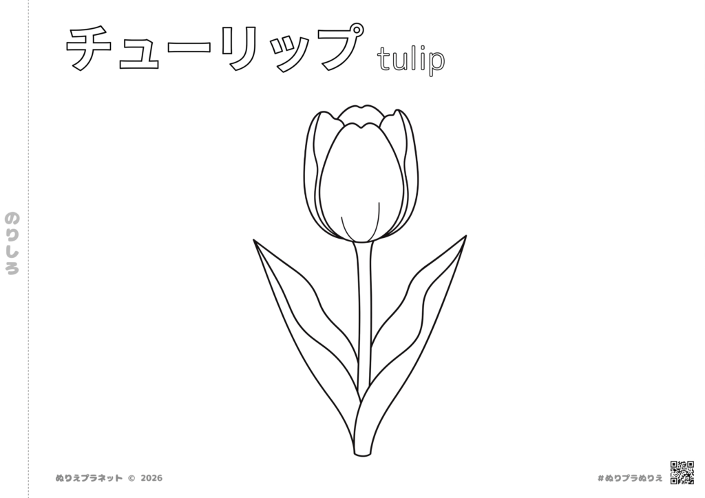 子供向けにデザインされた、シンプルで可愛いチューリップの花の塗り絵（無料ダウンロード素材）