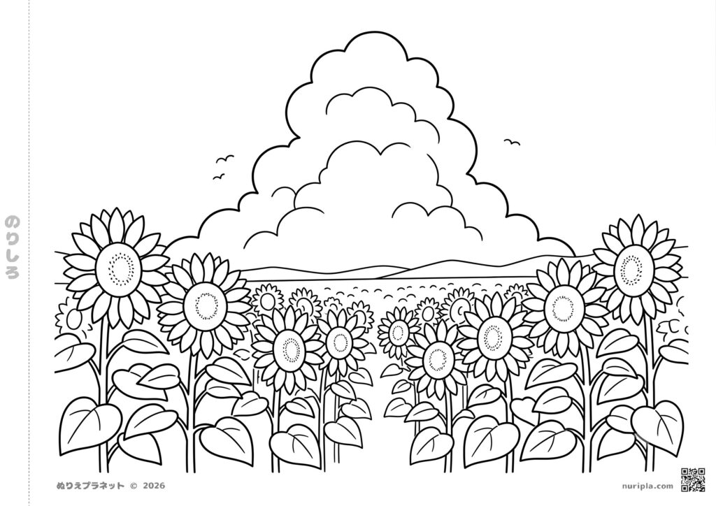 夏のひまわり畑と大きな入道雲が描かれた高齢者向けの無料塗り絵。はみ出しにくい太い線で描かれたシンプルなデザイン。