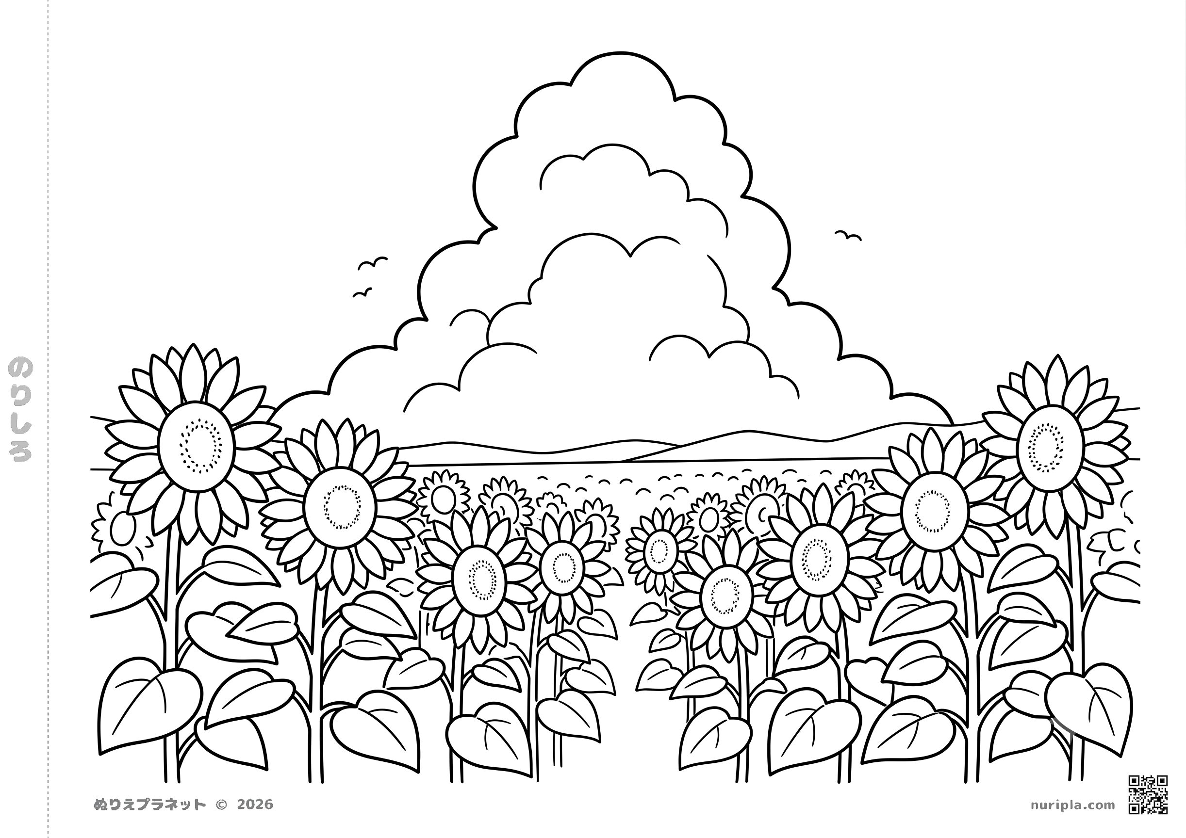 夏のひまわり畑と大きな入道雲が描かれた高齢者向けの無料塗り絵。はみ出しにくい太い線で描かれたシンプルなデザイン。