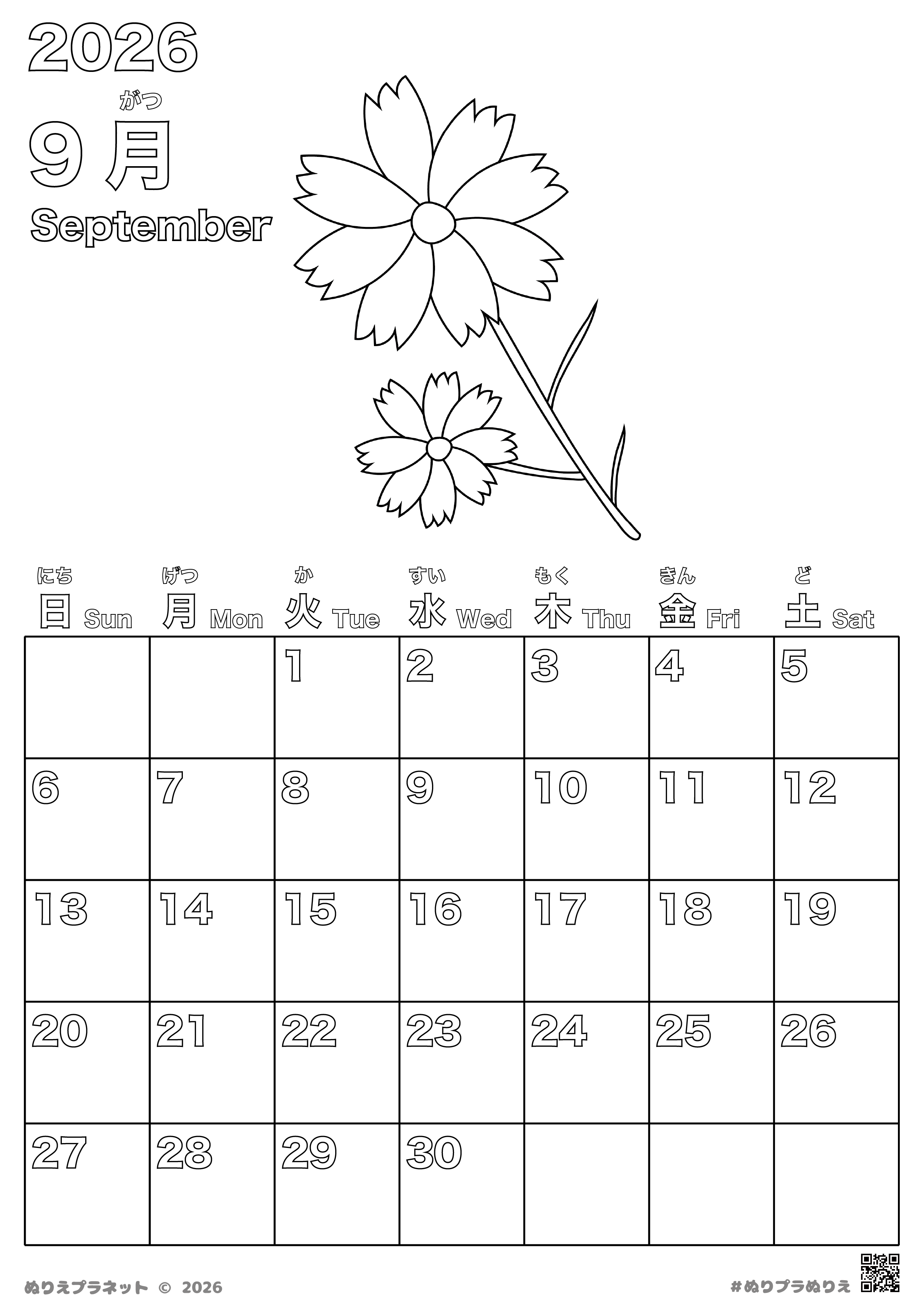 September 2026 Calendar and a Coloring Page Illustration of Cute Cosmos Flowers in Full Bloom