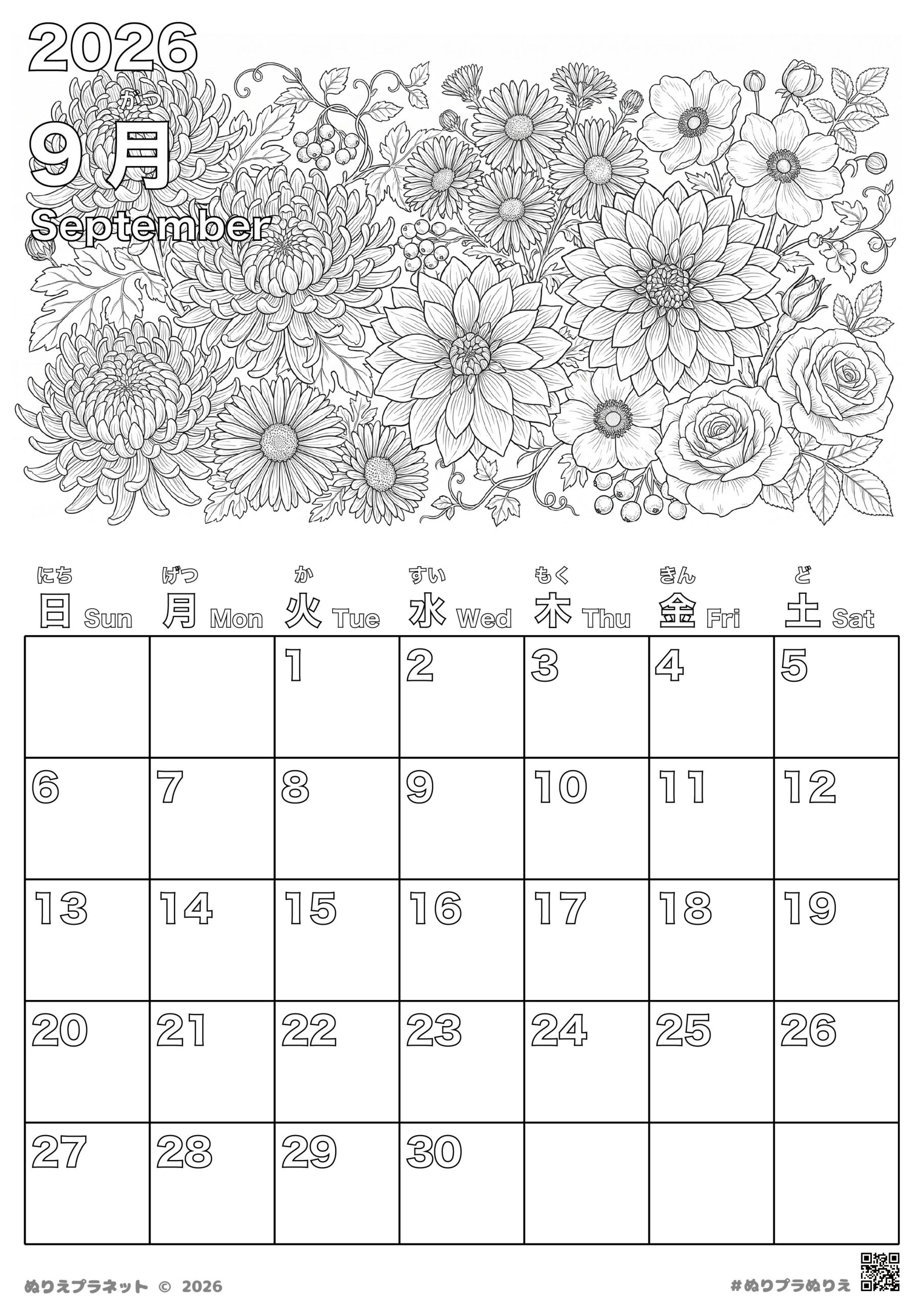 A coloring page featuring the September 2026 calendar. An illustration of a vibrant flower garden bursting with beautiful autumn blooms, including chrysanthemums, dahlias, and roses.
