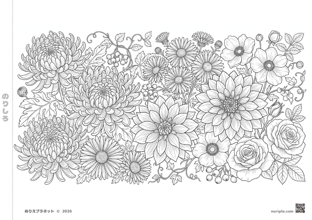 9月を彩る秋の花々(菊、ダリア、シュウメイギク、バラ)が緻密に描かれた塗り絵のイラスト