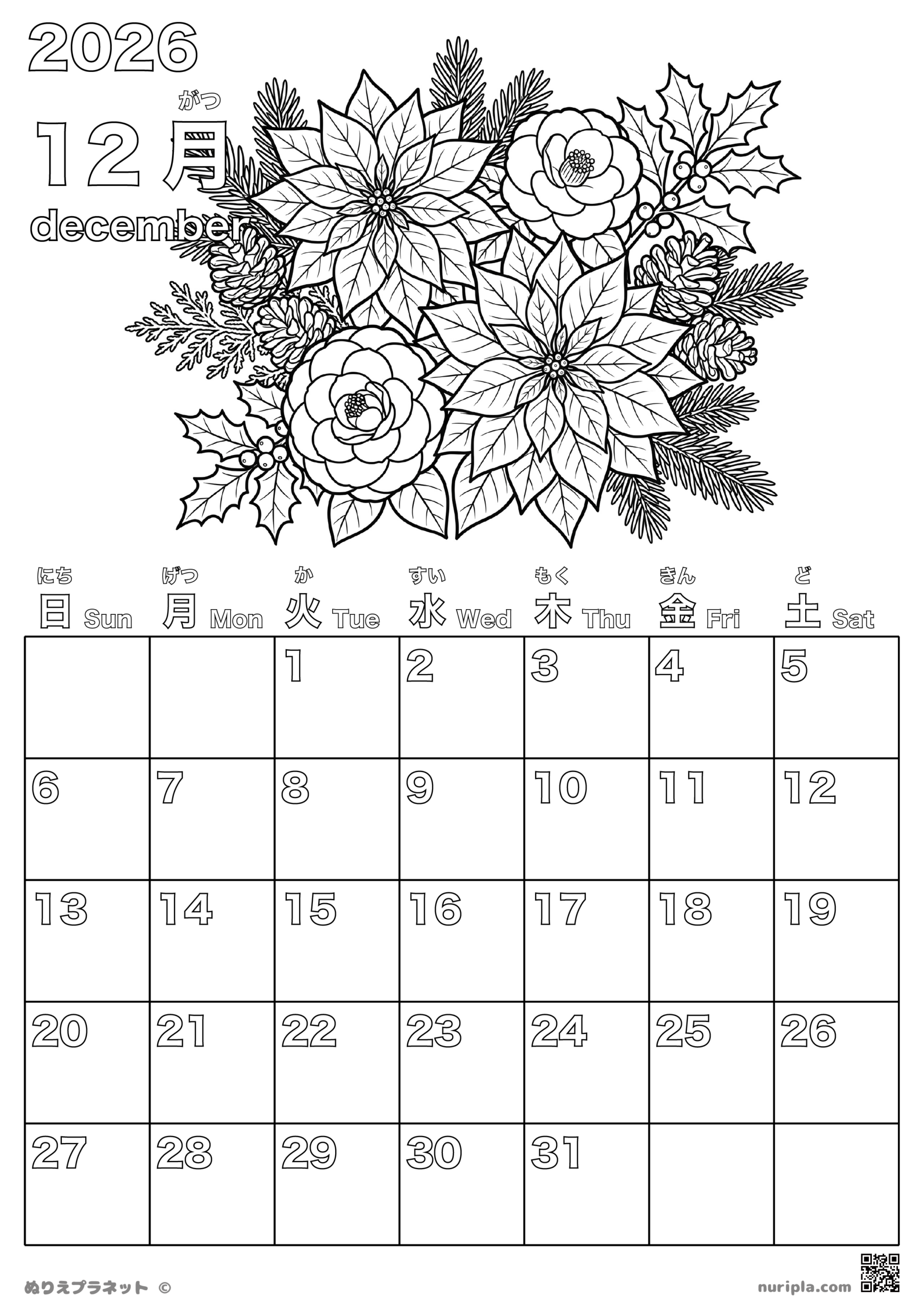 2026年12月のカレンダー塗り絵。ポインセチア、椿、松ぼっくり、ヒイラギなどの冬の植物が細密に描かれた、華やかで上級者向け（Advanced）のボタニカルイラストです。